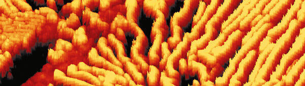 Atomic Force Microscopy